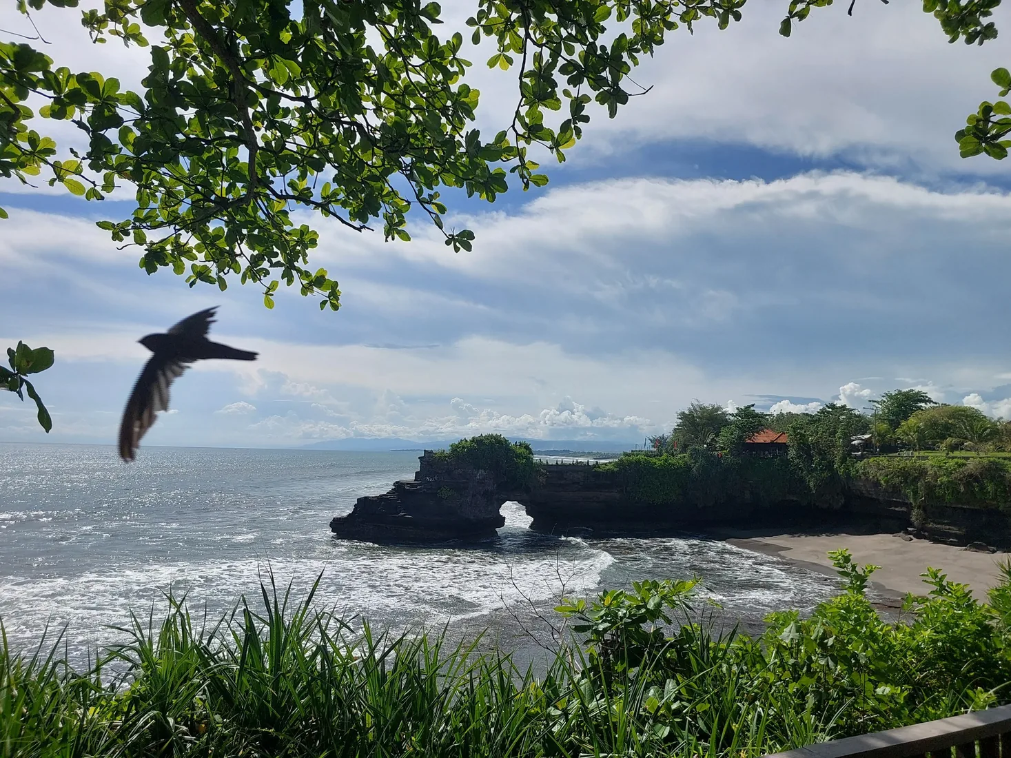 Rocky coast and tropical vegetation in Indonesia