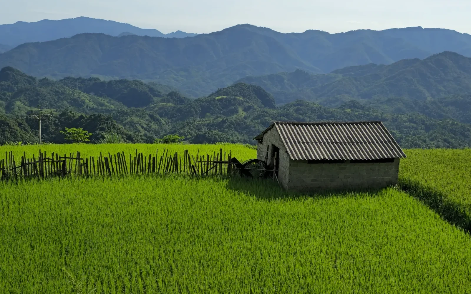 Rice fields and mountain landscape in northern Vietnam