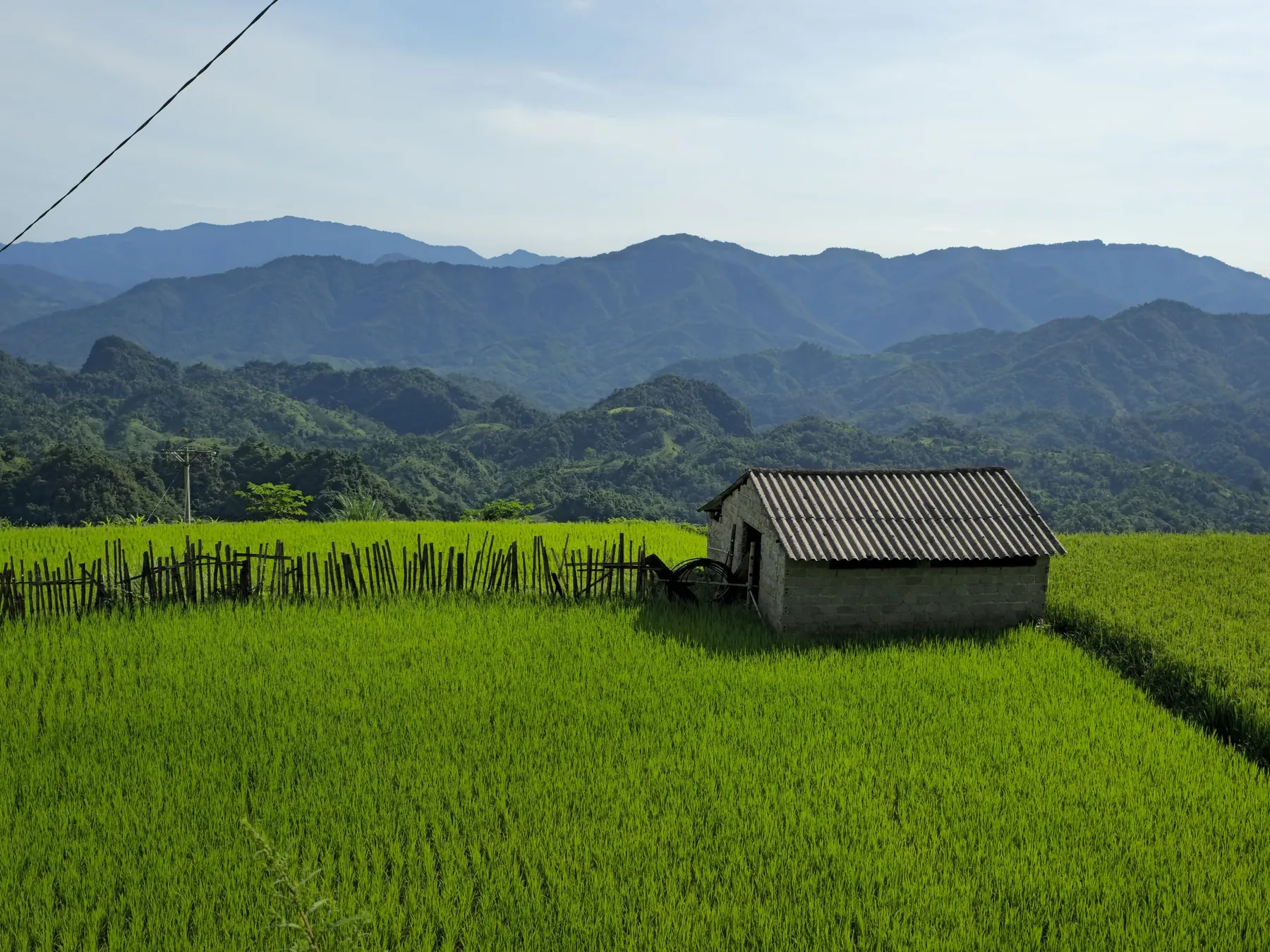Northern Vietnam countryside and rice fields